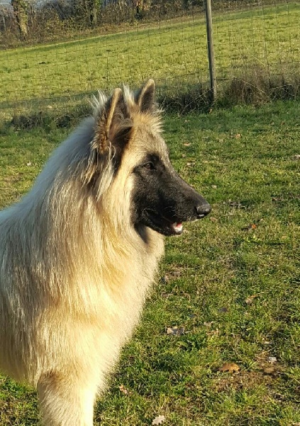Marlon des Famonadyns