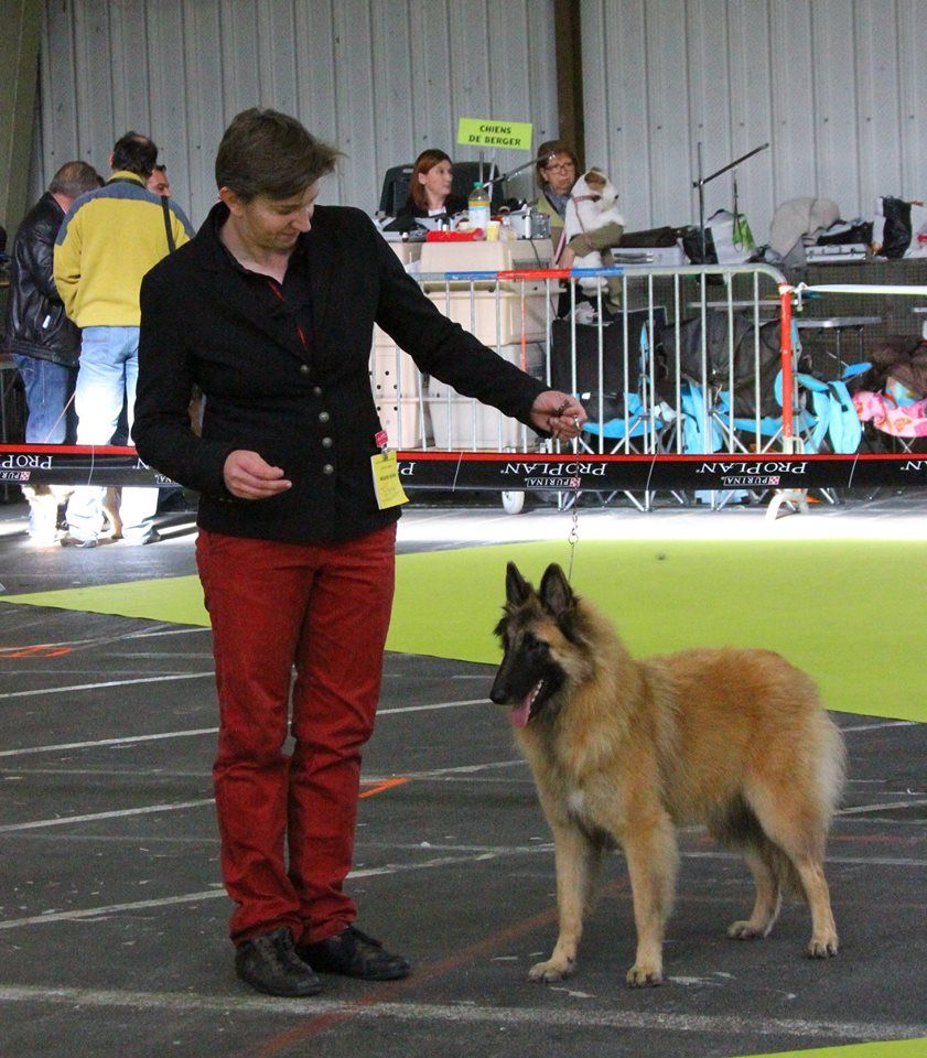 Jour et nuit des Famonadyns