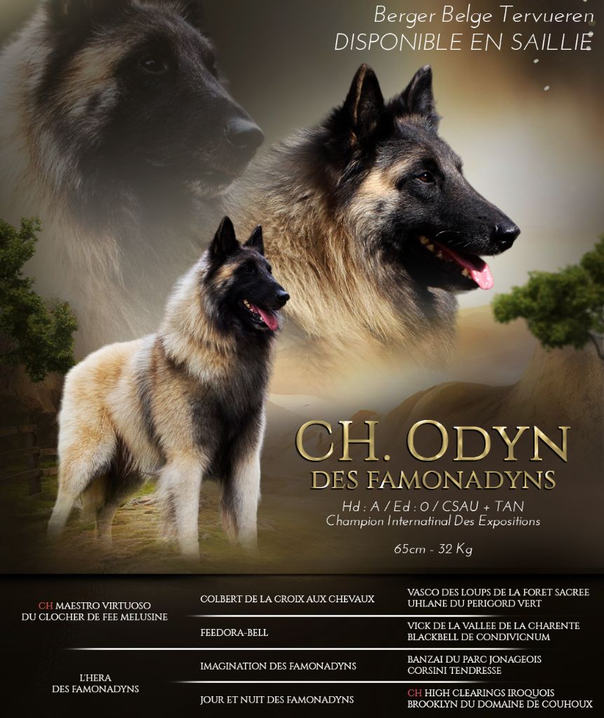 Odyn des Famonadyns